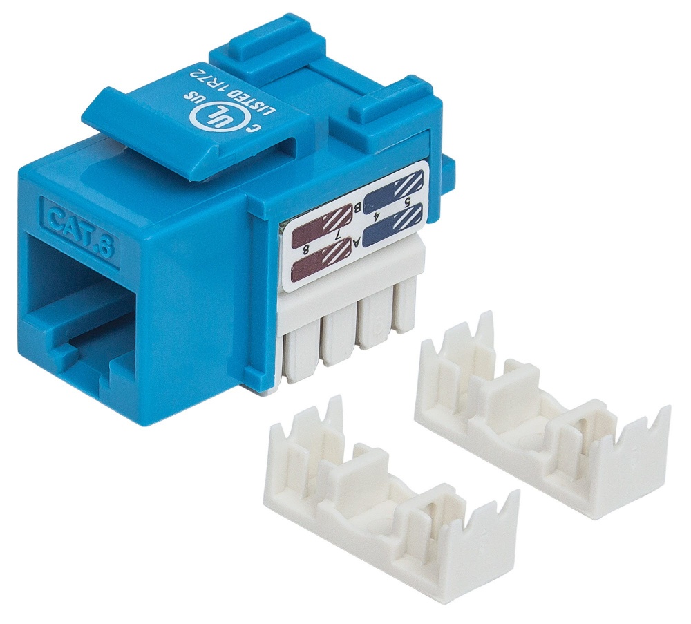 Intellinet Jack Categoría 6, RJ-45, Azul SKU: 210737